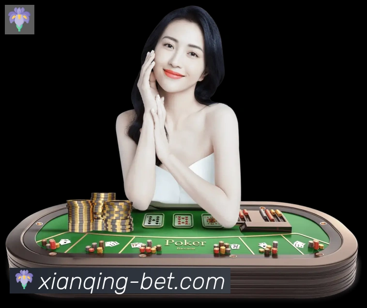 闲清棋牌品牌故事